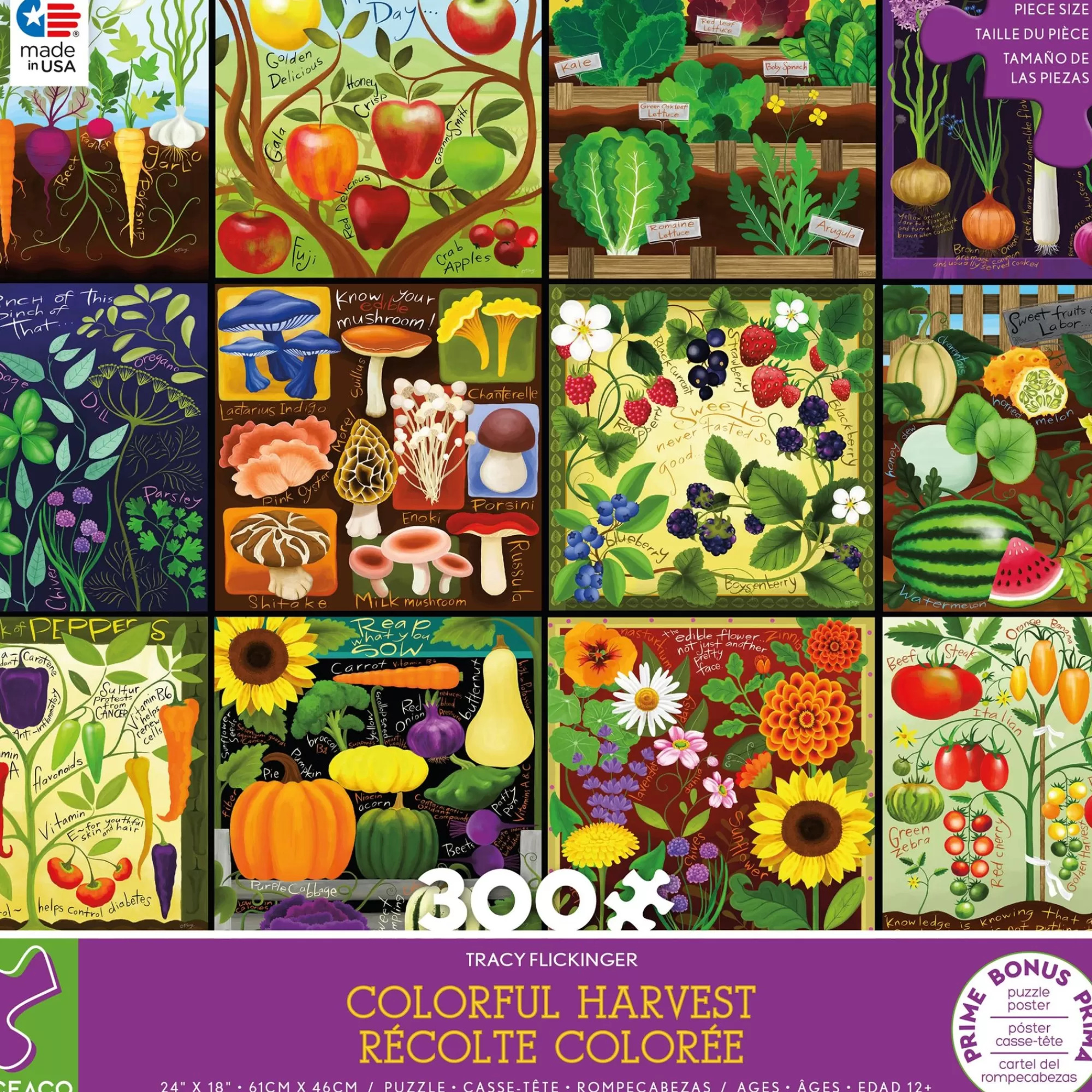 Ceaco Colorful Harvest - 300 Piece Puzzle* Flowers Puzzles