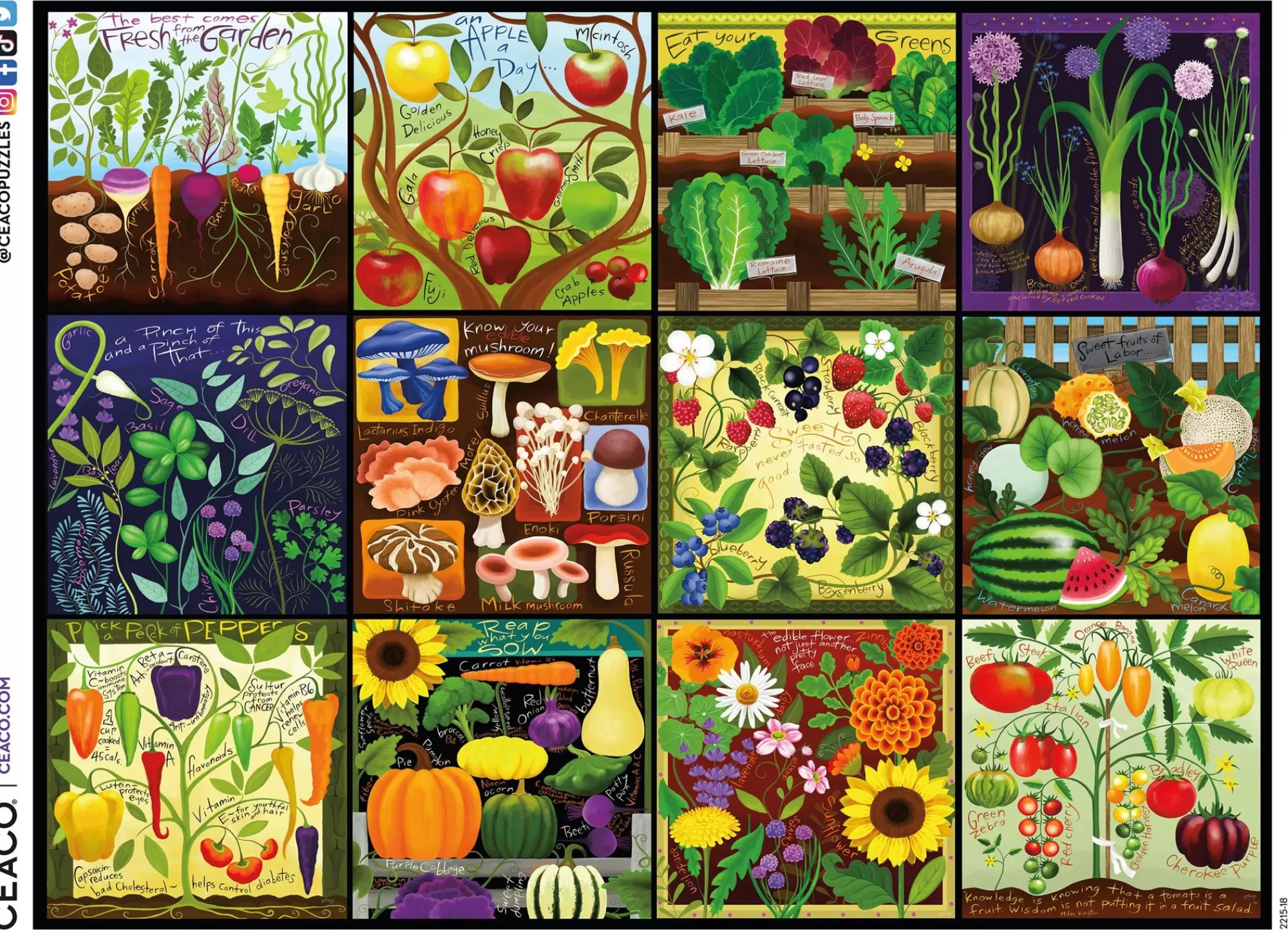 Ceaco Colorful Harvest - 300 Piece Puzzle* Flowers Puzzles
